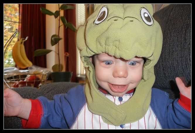 Turtle head